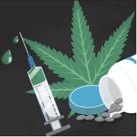 Drug Abuse Awareness For Team Managers